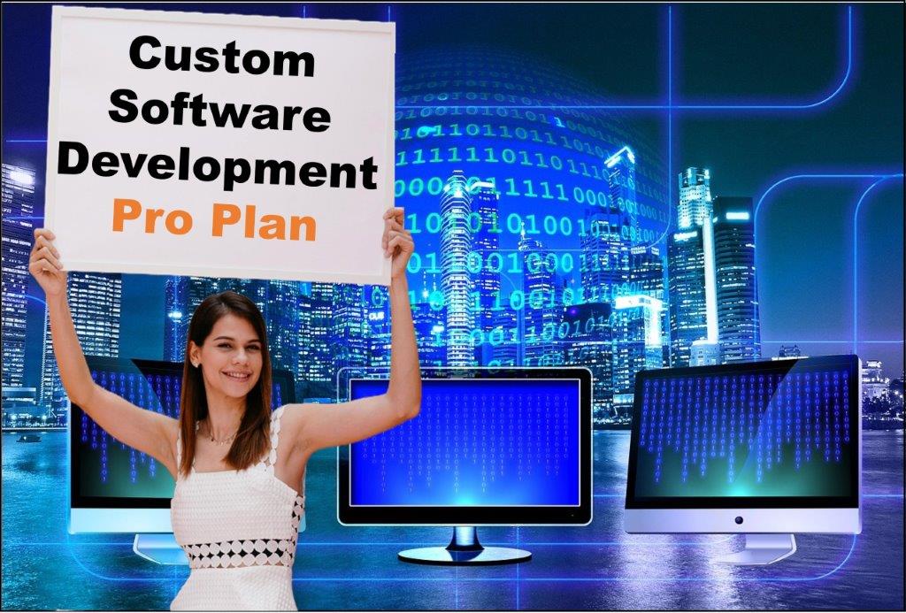 custom software development agency in Pierre South Dakota
