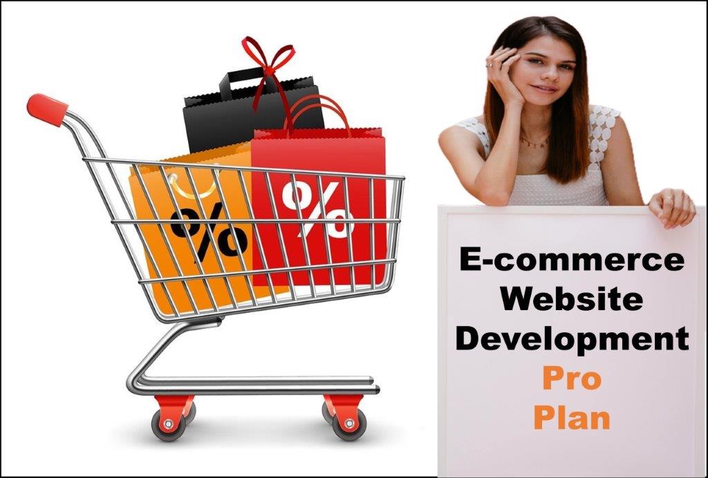 professional ecommerce website development agency in Pierre South Dakota