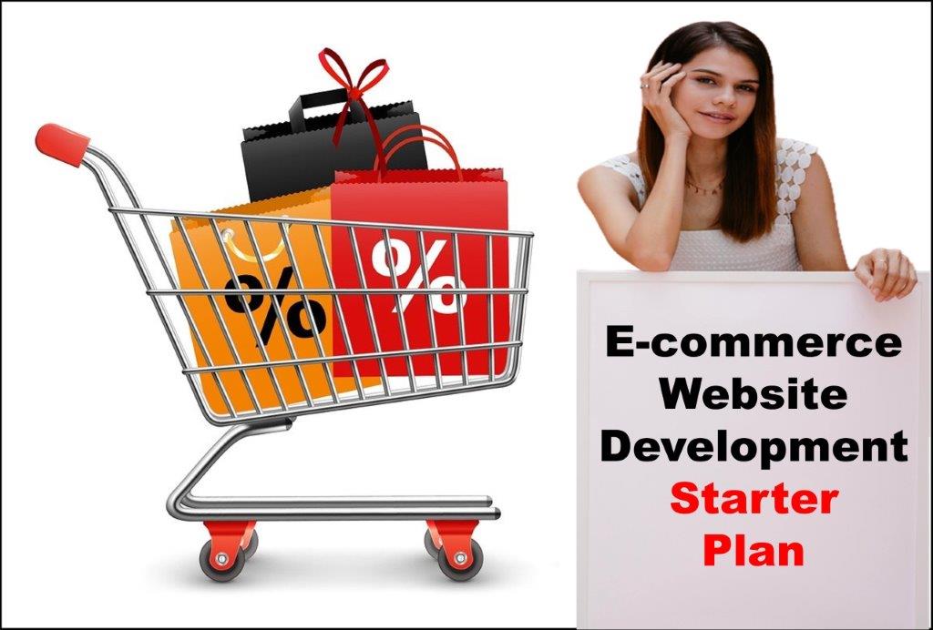 ecommerce website development agency in Pierre South Dakota