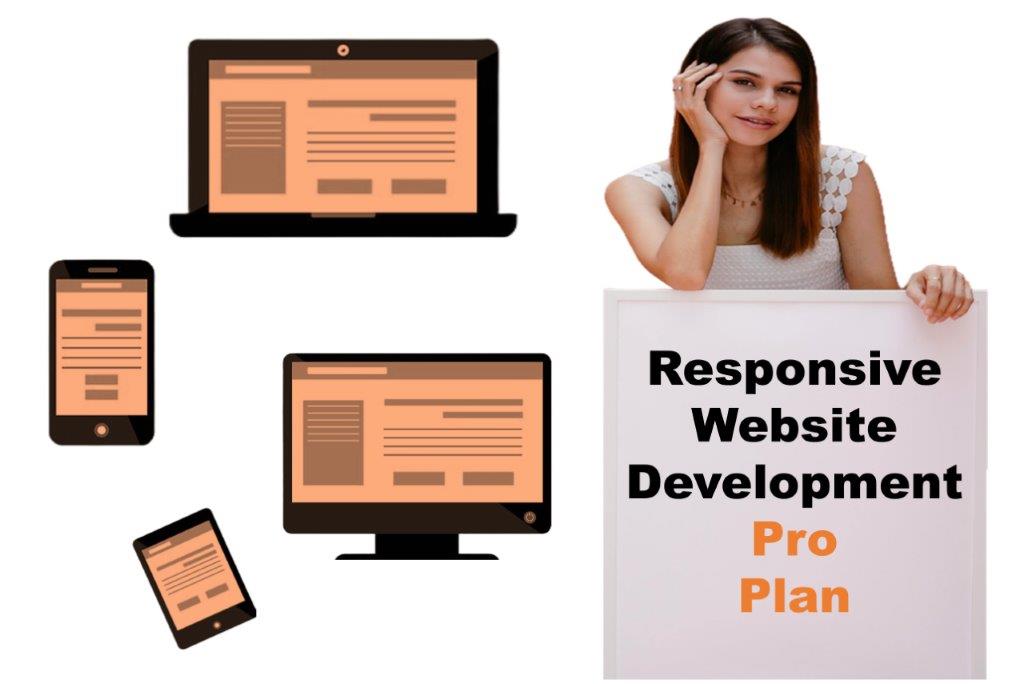 expert responsive website development agency in Pierre South Dakota