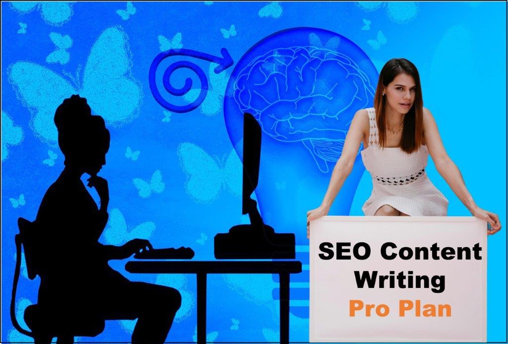 seo content writing agency Pierre South Dakota