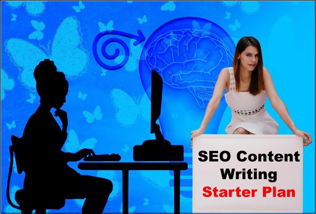 seo content writing service provider in Pierre South Dakota
