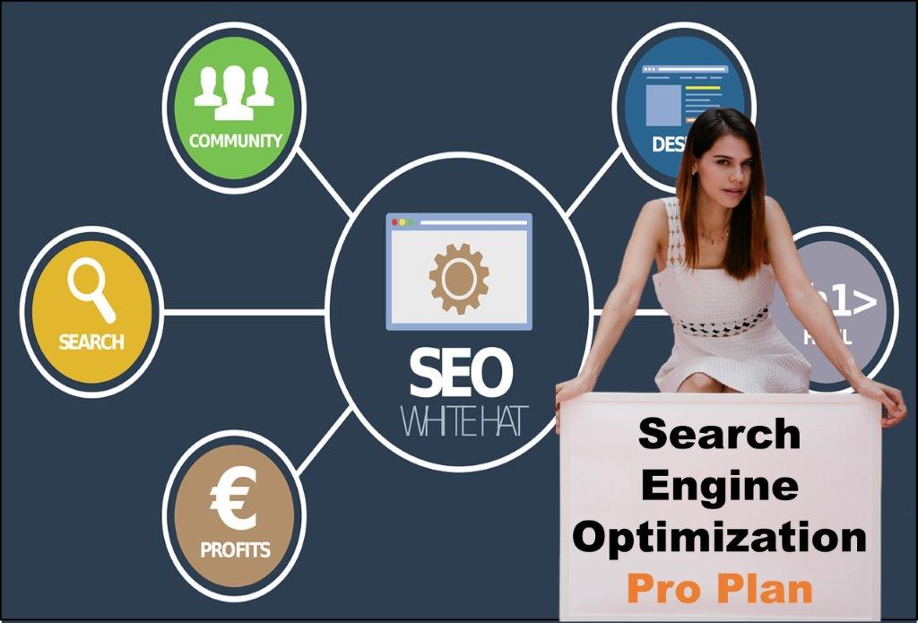 seo company Pierre South Dakota