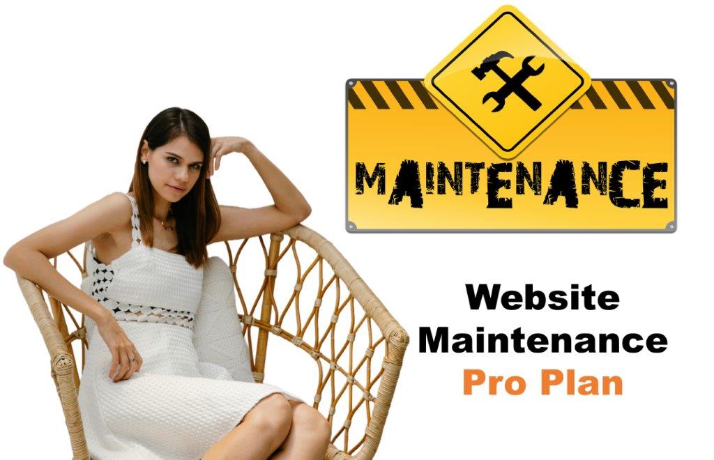 website maintenance agency in Pierre South Dakota