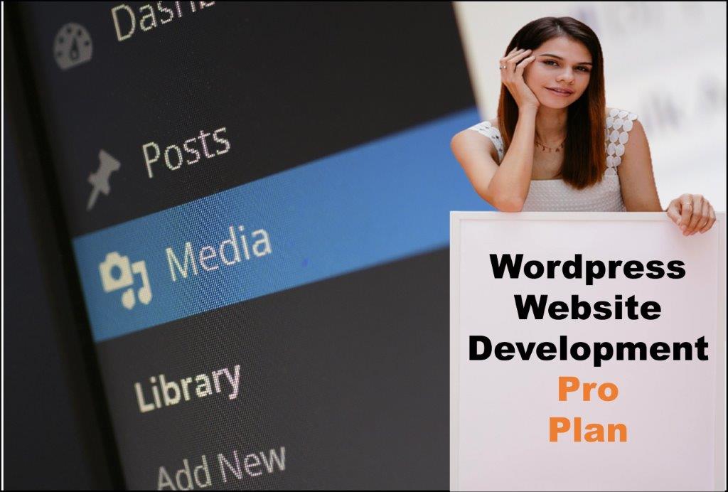 wordpress website designing in Pierre South Dakota