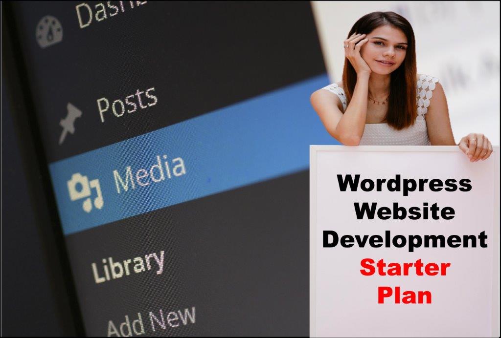 wordpress website development agency in Pierre South Dakota